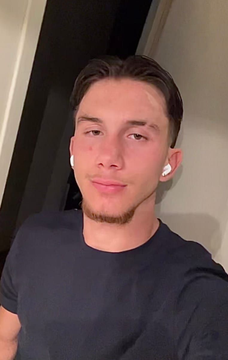Profil de Ludvik